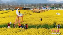 湖北宜昌：城郊荒地“长”出城市花园